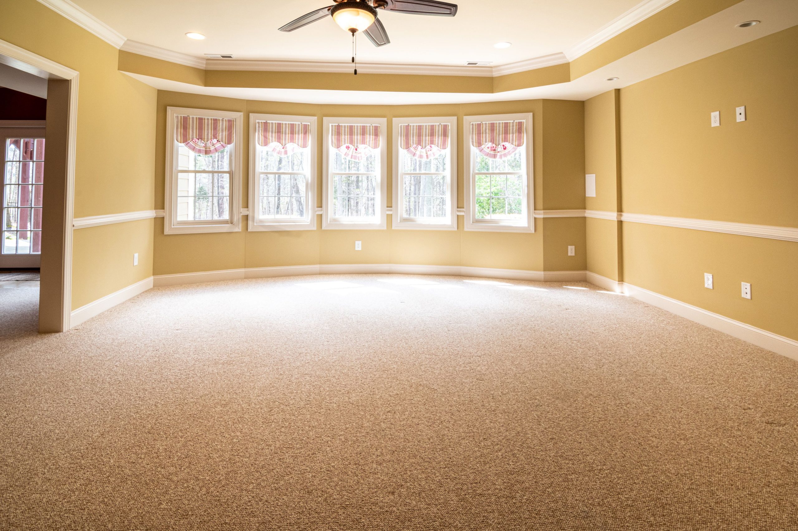 Baseboard, Doors & Flooring 8