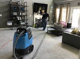 Cleaning 1 (1)