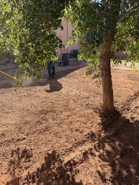 Landscaping 10